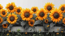  A Bunch Of Sunflowers That Are Growing In A Fenced In Area With Green Grass And Yellow Flowers In The Foreground, And A White Wall In The Background.
