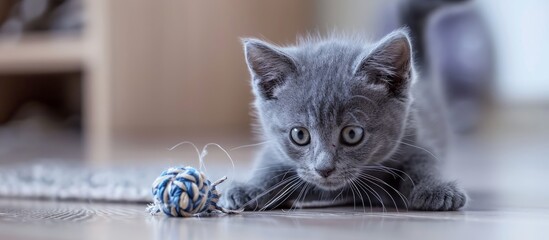 Sticker - Adorable gray kitten with a bow playing on the floor.