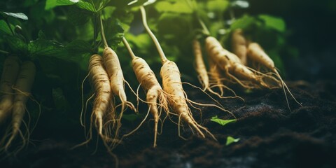 Poster - A close up view of a bunch of carrots lying on the ground. Ideal for food and agriculture-related projects