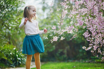 Wall Mural - Adorable preschooler girl enjoying nice spring day in park during cherry blossom season