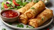Delicious Chinese fried spring roll on a plate with a red dipping sauce and salad. food photography