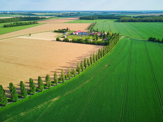 Wall Mural - Aerial drone view of green fields and meadows in Yveliness,, near Paris, France