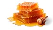 Fresh honeycomb, honey products by organic natural ingredients concept isolated on transparent background