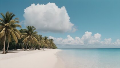 Wall Mural - beach with palm trees