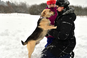 Wall Mural - A pet dog cuddles up to a girl in the snow in winter