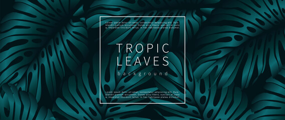 Dark luxury tropical background with monstera leaves. Botanical card, poster, banner, cover design.
