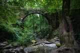 Fototapeta  - Paisaje boscoso con puente antiguo en el parque natural de Fragas del Eume, La Coruña, Galicia, España.
