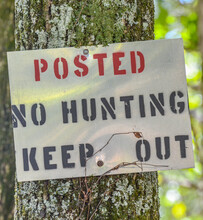 No Hunting Sign Posted