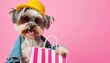 Pretty glam fashionable high end outfits puppy and shopping bag. Closeup, indoors. Studio shot. isolated on bright background advertisement, copy space, cute dog with shopping bags.