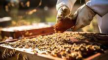 Beekeeper Hands Picking A Large Box Containing Honey