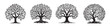 © Luka - set of trees silhouettes, tree of life vector images, black and white decorative vector