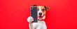 Leinwandbild Motiv Cheerful Jack Russell Dog Taking a Selfie with Smartphone on Vibrant Red Background