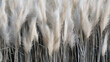 feather grass background. Generative ai