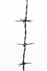 Poster - A black and white photo of barbed wire. Suitable for illustrating concepts of security, boundaries, or confinement