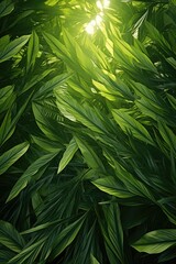 Poster - Sunlight shining through the leaves of a plant. Perfect for nature or botanical themes