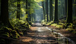 Tranquil forest footpath reveals autumn beauty in nature generated by AI