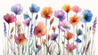 different colored flowers field grass stunning illustration remembrance digital banner paper colors forbidden beauty spring