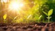 © Татьяна Макарова - Young plant seedlings in soil basking in the sunlight, growth concept