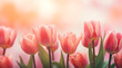 Kwiatowe minimalistyczne czerwone tło na życzenia z okazji Dnia Kobiet, Dnia Matki, Dnia Babci, Urodzin czy pierwszego dnia wiosny. Szablon na baner lub mockup z tulipanami. 