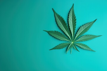 a green leaf on a blue background
