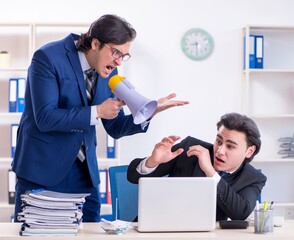 Wall Mural - Boss and his male assistant working in the office