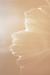 Wall Mural - white shiny glare from sunlight on beige background, abstract nature photo with sunshine flare, neut