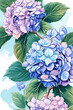 Vibrant hydrangea flowers illustration with lush foliage. Floral design and decoration