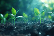 © CHONCHANOK PHOTO - leaves Vibrant Nature A close-up view of lush green leaves and plants thriving in the water, capturing the essence of a vibrant and refreshing concept environment