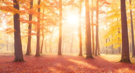 Wall Mural - Autumn forest landscape with sunbeams in the morning. Nature background