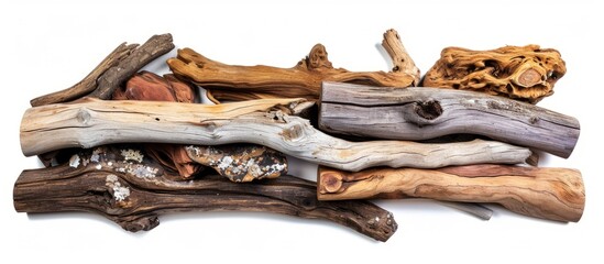 Poster - Driftwood pieces with different textures on a white background, isolated and cutout.