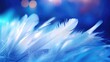 Close up view of abstract feather on table with cinematic lighting, blue background.
