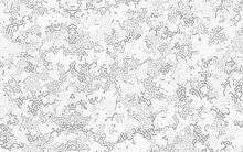 Turing Pattern Background. Generative Algorithm Psychedelic Background. Reaction Diffusion Seamless Pattern. Black White Color.