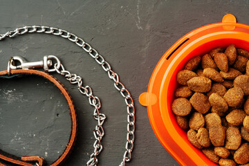 Wall Mural - Dog food in bowl and collar on gray background