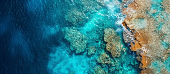 Poster - Bird's-eye perspective of a vibrant, azure tropical reef.
