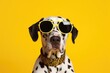 Stylish Dalmatian Pup Rocks Yellow Sunglasses and Polka Dot Charm Generative AI