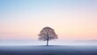 © logonv - A single tree stands against a gentle dawn mist, symbolizing solitude and the calm of early morning, perfect for reflecting on peace and solitude with ample space for text.