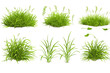 Realistic set of green grass sprouts