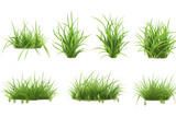 Fototapeta  - Realistic set of green grass sprouts