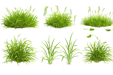 Poster - Realistic set of green grass sprouts