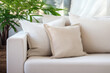 Beige color sofa pillow set with a nice plant