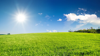 Beautiful green meadow and blue sky, sun shining, grass field