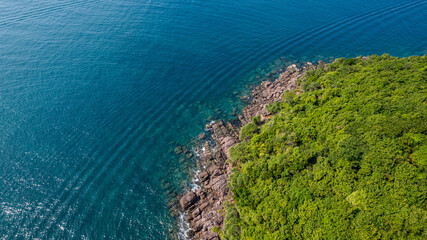 Wall Mural - Aerial view of a dense green forest meeting the clear blue sea along a rocky coastline, showcasing natural beauty and tranquility