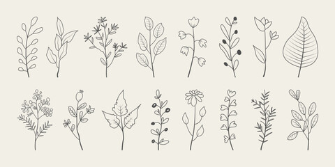 Set of minimal leaves. Hand drawn botanical decorative elements. 