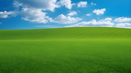 green field and blue sky