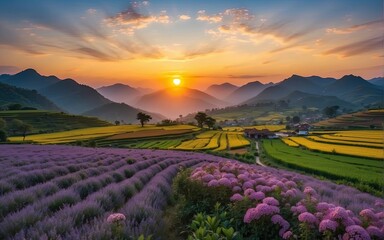 Wall Mural - beautiful panoramic landscape of a terrace fields with foreground is small colorful spring flowers a