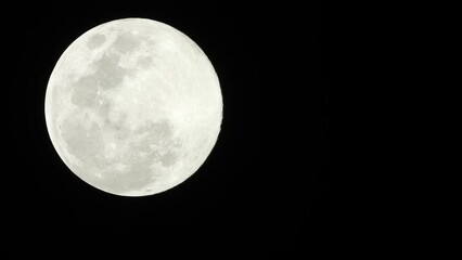 Wall Mural - Beautiful moon close up .