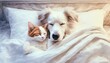 Pies i kot śpiące w łóżku na poduszce przykryte kołdrą