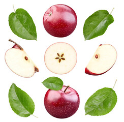 Wall Mural - Red apple collection Clipping Path