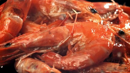 Poster - Drops of water drip onto fresh shrimp. Filmed on a high-speed camera at 1000 fps. High quality FullHD footage