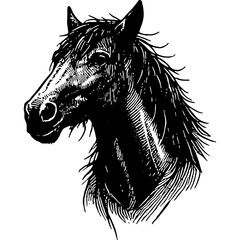 Wall Mural - Horse Engraving Portrait 